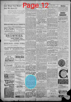 Page thumbnail for Birmingham Age Herald