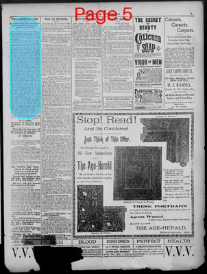 Page thumbnail for Birmingham Age Herald