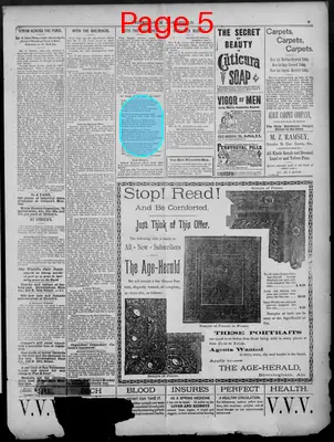 Page thumbnail for Birmingham Age Herald
