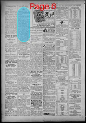 Page thumbnail for Birmingham Age Herald
