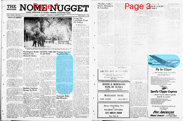 Page thumbnail for The Nome Nugget