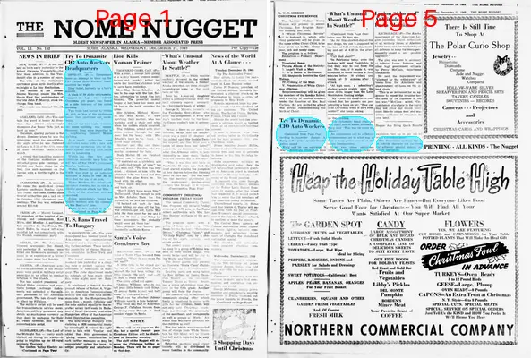 Page thumbnail for The Nome Nugget