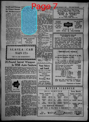 Page thumbnail for The Nome Nugget