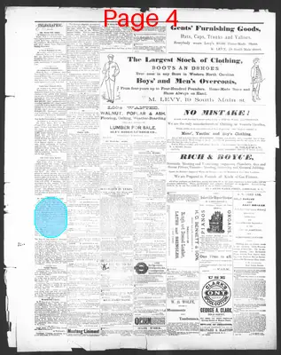 Page thumbnail for The Asheville Citizen