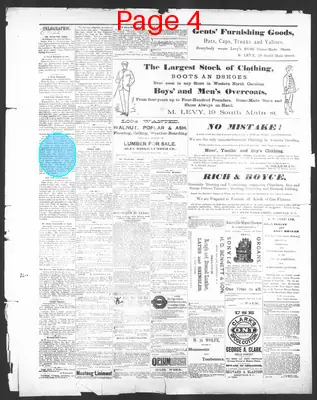 Page thumbnail for The Asheville Citizen