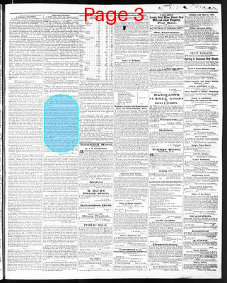 Page thumbnail for The Western Democrat
