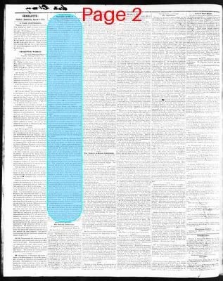Page thumbnail for The Western Democrat
