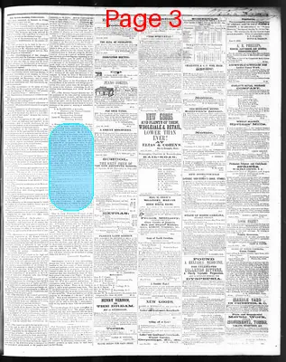 Page thumbnail for The Western Democrat