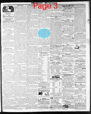 Page thumbnail for The Western Democrat