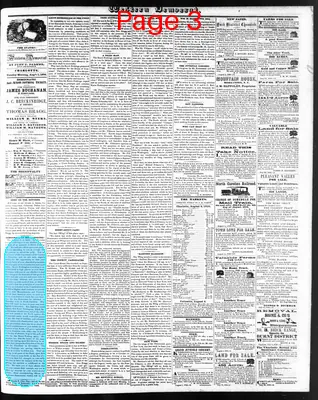 Page thumbnail for The Western Democrat