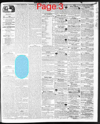 Page thumbnail for The Western Democrat
