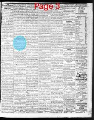 Page thumbnail for The Western Democrat