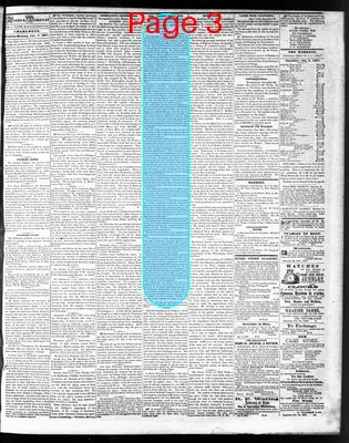 Page thumbnail for The Western Democrat