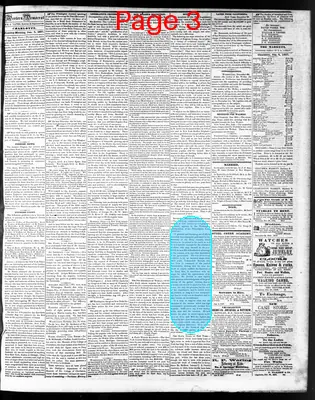 Page thumbnail for The Western Democrat