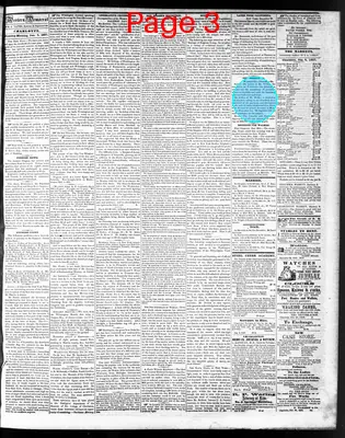 Page thumbnail for The Western Democrat