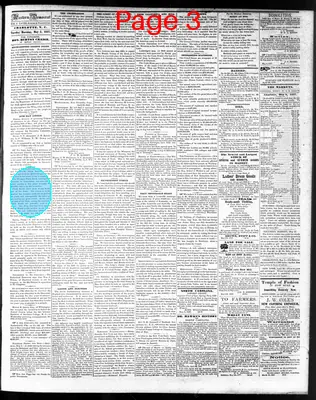 Page thumbnail for The Western Democrat