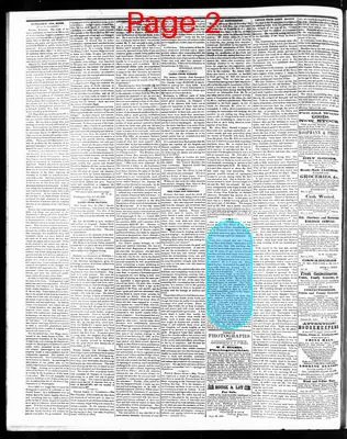 Page thumbnail for The Western Democrat