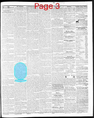 Page thumbnail for The Western Democrat