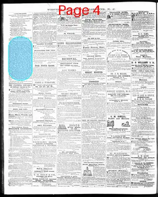 Page thumbnail for The Western Democrat