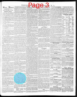 Page thumbnail for The Western Democrat