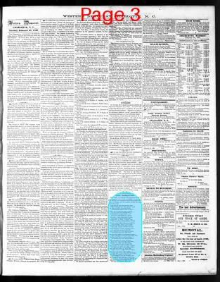 Page thumbnail for The Western Democrat