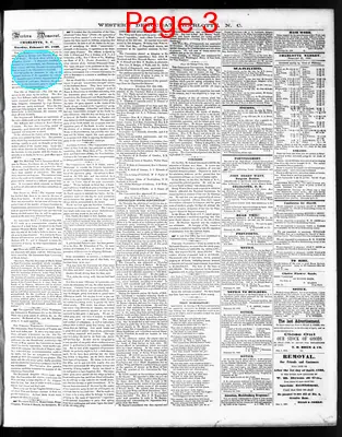 Page thumbnail for The Western Democrat
