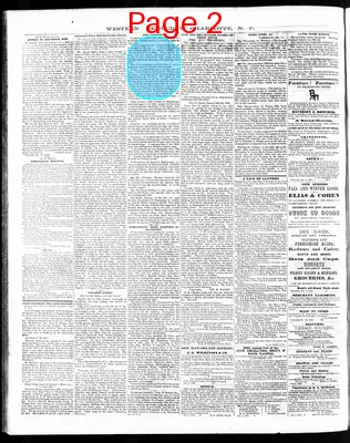 Page thumbnail for The Western Democrat