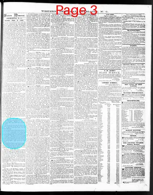Page thumbnail for The Western Democrat