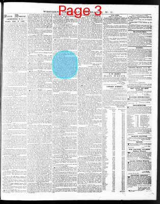 Page thumbnail for The Western Democrat