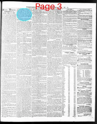 Page thumbnail for The Western Democrat