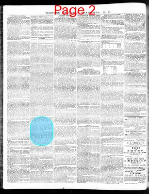 Page thumbnail for The Western Democrat