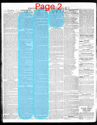 Page thumbnail for The Western Democrat