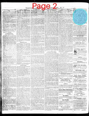 Page thumbnail for The Western Democrat