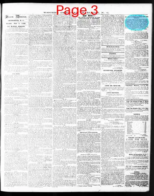 Page thumbnail for The Western Democrat