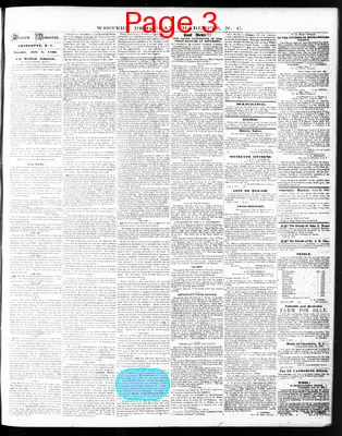 Page thumbnail for The Western Democrat