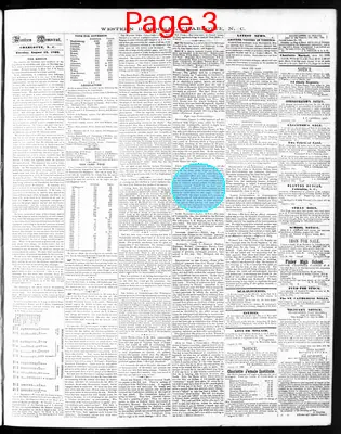 Page thumbnail for The Western Democrat