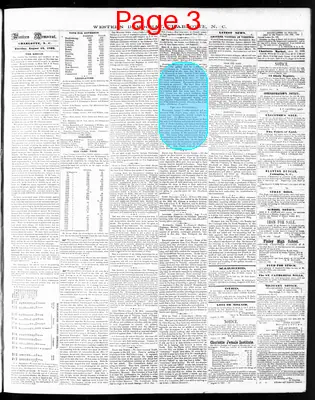 Page thumbnail for The Western Democrat