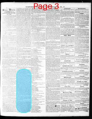 Page thumbnail for The Western Democrat
