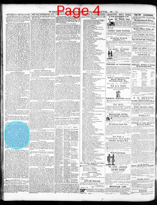 Page thumbnail for The Western Democrat