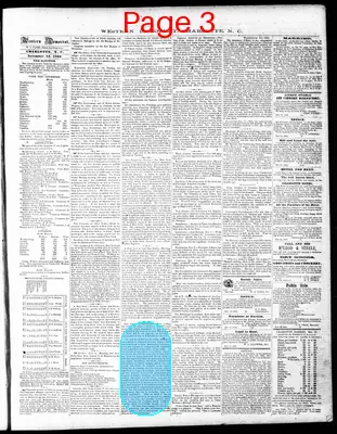 Page thumbnail for The Western Democrat