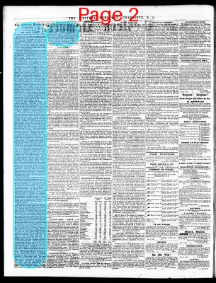 Page thumbnail for The Western Democrat