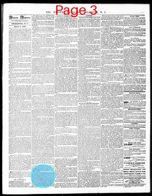 Page thumbnail for The Western Democrat