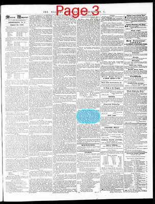 Page thumbnail for The Western Democrat