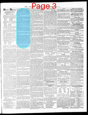 Page thumbnail for The Western Democrat