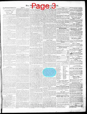 Page thumbnail for The Western Democrat