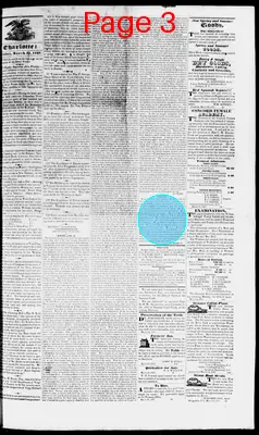 Page thumbnail for The Charlotte Journal