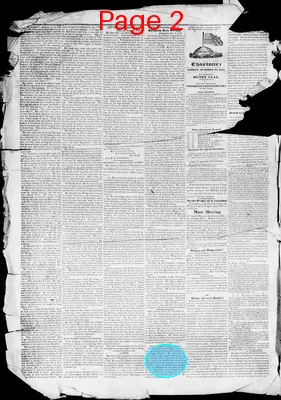 Page thumbnail for The Charlotte Journal