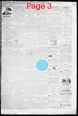 Page thumbnail for The Charlotte Journal