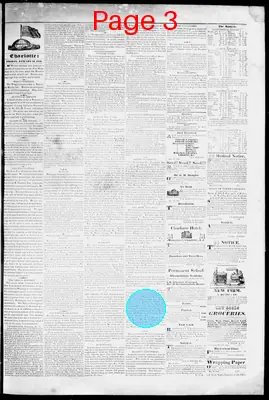 Page thumbnail for The Charlotte Journal