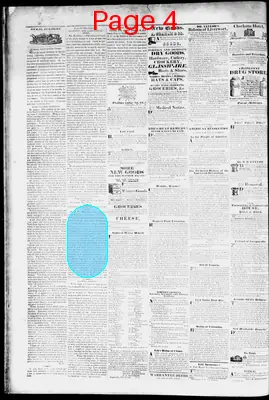 Page thumbnail for The Charlotte Journal